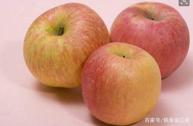u=1333325147,1847160468&fm=173&app=25&f=JPEG.jpg
